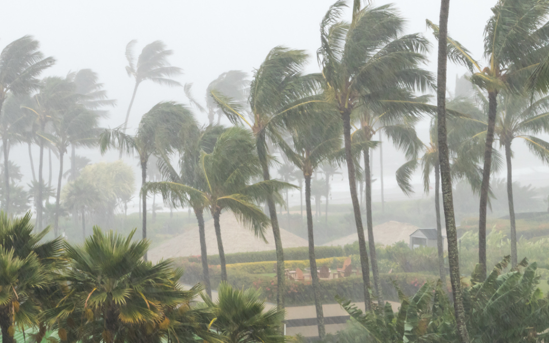 How To Clean Up An HOA Facility After A Hurricane